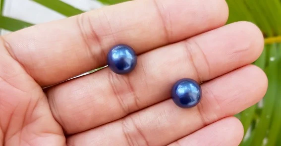 How Do Oysters Make Colored Pearls? 